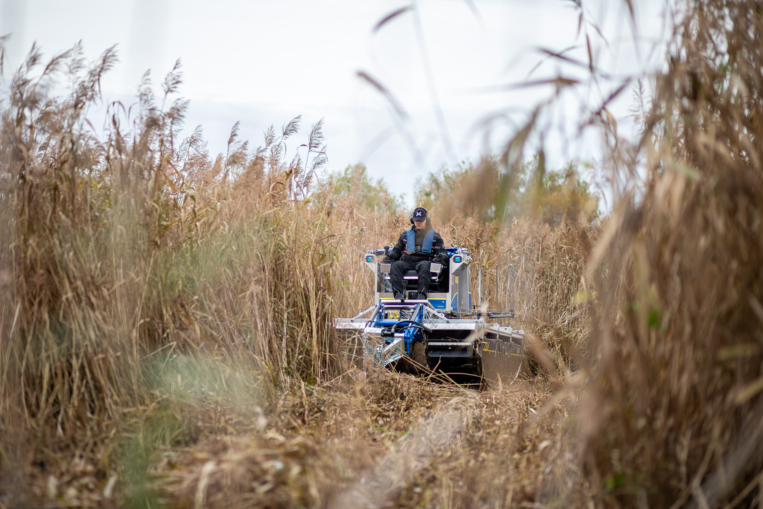 Professional equipment in action - image 3